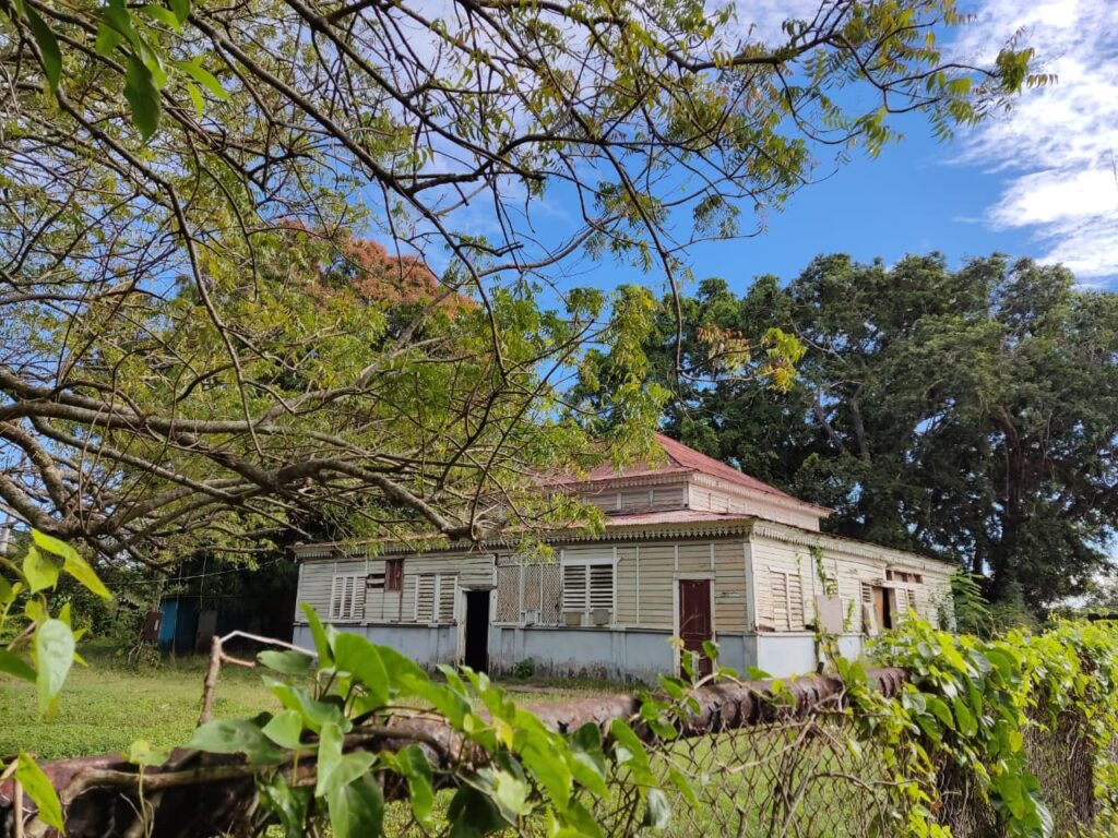 San Pedro de Macorís: Cuna de pasión, cultura y orgullo dominicano | 16 | San Pedro de Macorís: Cuna de pasión, cultura y orgullo dominicano - Noticias de hoy en República Dominicana | De Último Minuto