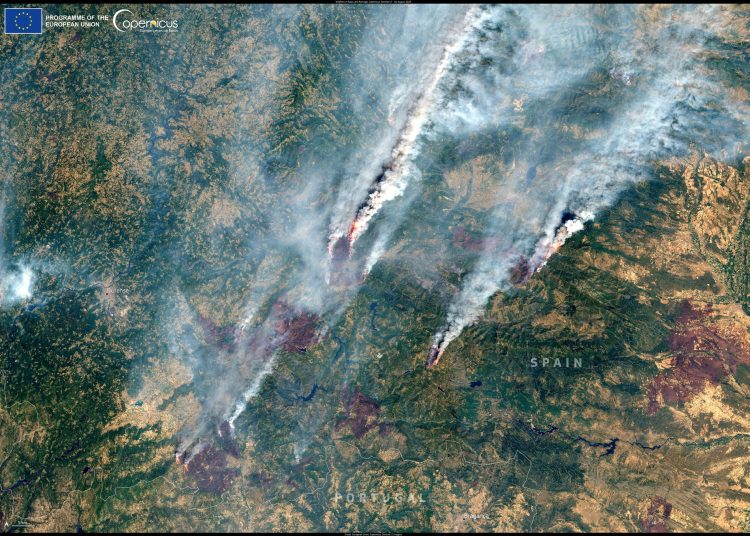 España se acerca a las 400.000 hectáreas arrasadas por el fuego en lo que va de 2025