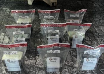 DNCD interviene 43 paquetes presumiblemente cocaína en Puerto Caucedo