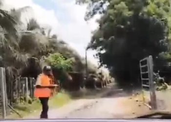 Habitantes denuncian que Pollos Cibao bloquea camino público y aísla comunidades en Monte Plata