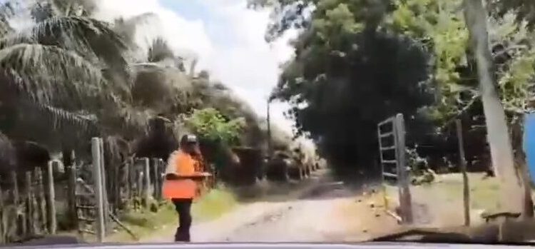 Habitantes denuncian que Pollos Cibao bloquea camino público y aísla comunidades en Monte Plata