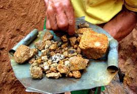 Juez de Perú condena a 8 años de cárcel a minero ilegal por extraer oro en río de Amazonía