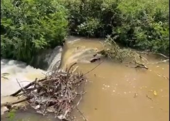 Productores de Dajabón denuncian pérdidas por represamiento del canal Juan Calvo
