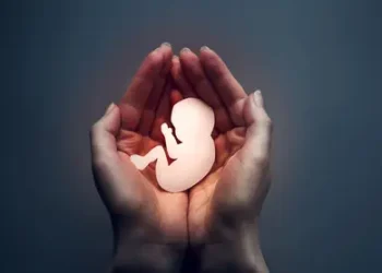 Nuevo Código Penal contempla una de las tres causales sobre el aborto