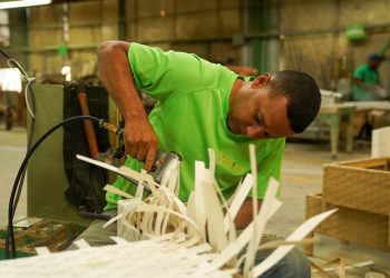 ANJE revela solo el 12% de los jóvenes está estudiando lo que necesita el mercado laboral  