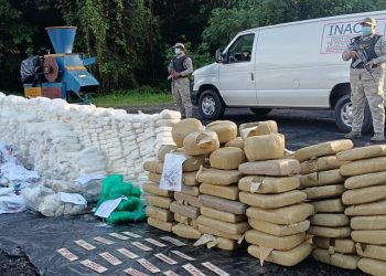 El Inacif destruyó más de 2 toneladas de drogas