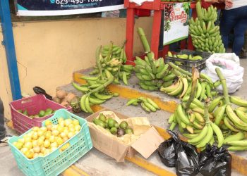 Cientos de personas se dan cita en la Feria Agropecuaria y Ecoturística 2025 en Azua