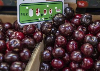 China autoriza la importación de cereza española tras un proceso de negociación de años