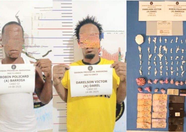 Apresan unas 26 personas mientras ocupan varias pistolas; entre ellos «El Enano» de Boca Chica