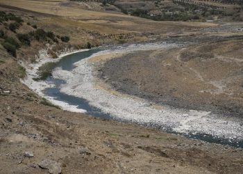 La sequía sin precedentes del río Orontes pone en peligro a los agricultores sirios
