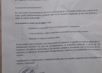 Las Galeras prohíbe circulación de animales sueltos tras accidentes viales
