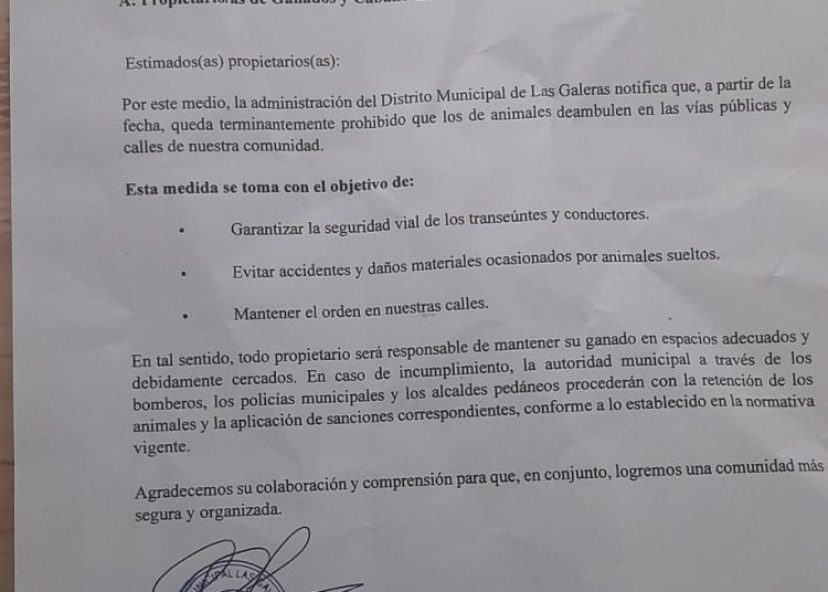 Las Galeras prohíbe circulación de animales sueltos tras accidentes viales