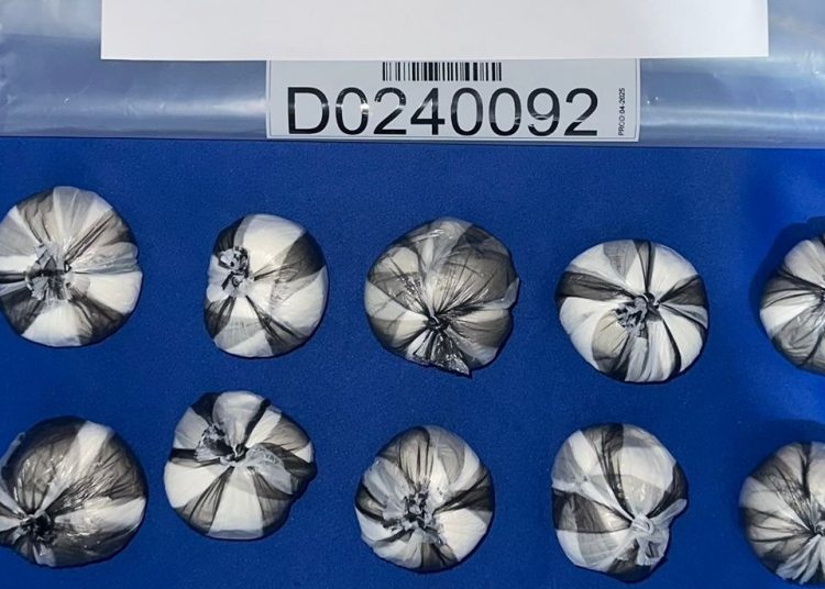 Apresan a siete personas y ocupan más de 3,000 gramos de cocaína y marihuana