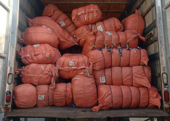 MP incauta más de 70 mil útiles escolares falsificados en el Gran Santo Domingo