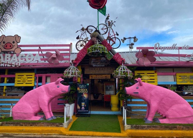 “Serie 50”: un rincón pintoresco que combina arte, gastronomía e historia en Jarabacoa