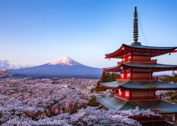 Japón e India acuerdan fortalecer cooperación económica y en defensa en la próxima década