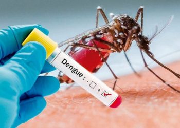 26 de agosto: Día Internacional contra el Dengue