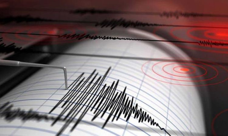 Temblor magnitud 4.8 sacude el Este del país