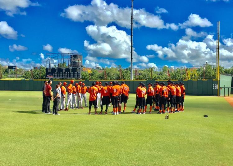 Toros del Este anuncian Early Camp y fecha entrenamientos pretemporada