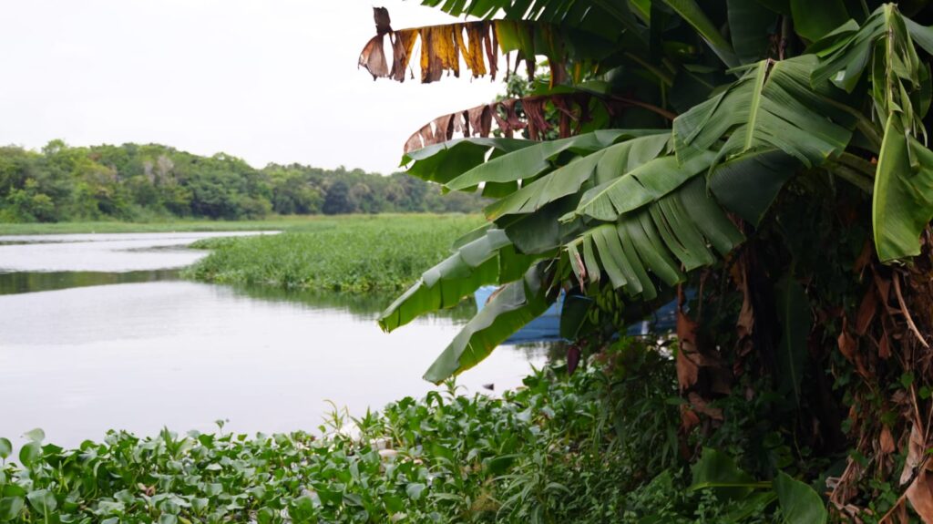 Residentes de las riberas del Ozama e Isabelita dudan de intervención gubernamental - Noticias de hoy en República Dominicana | De Último Minuto