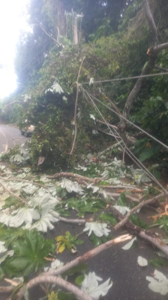 Fuertes vientos provocan averías en 11 circuitos de EDENORTE; 38 mil clientes afectados en el Cibao - Noticias de hoy en República Dominicana | De Último Minuto