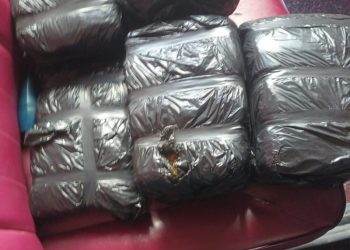 Autoridades decomisan ocho pacas de marihuana en operativo conjunto en Azua