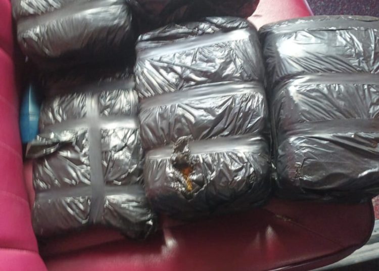 Autoridades decomisan ocho pacas de marihuana en operativo conjunto en Azua