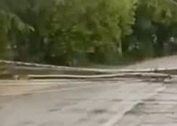 Fuertes vientos y lluvias provocan caída de árbol en carretera Salcedo–Tenares