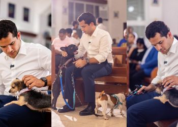 Omar Fernández impulsa reforma para endurecer sanciones contra el maltrato animal