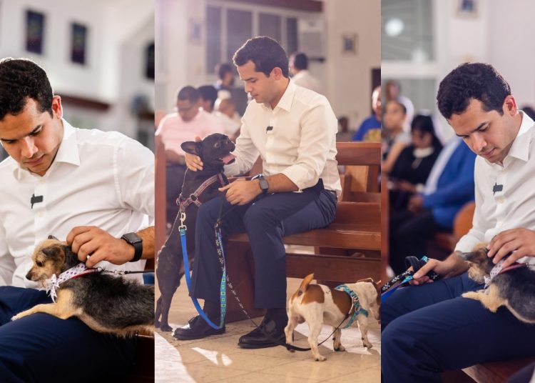 Omar Fernández impulsa reforma para endurecer sanciones contra el maltrato animal