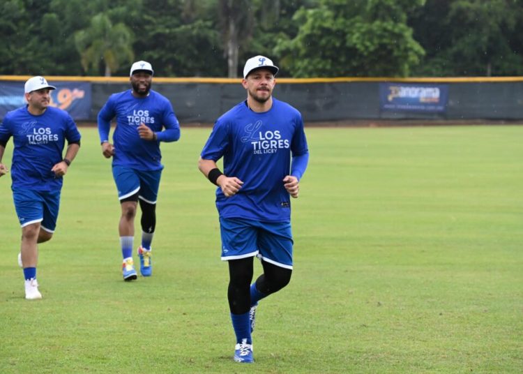 Tigres del Licey anuncian sus partidos de pretemporada