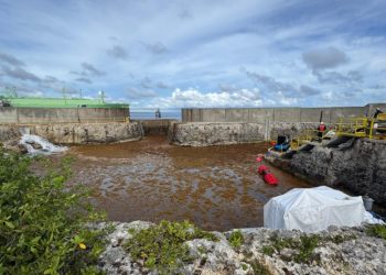 Sargazo afecta operación en AES Andrés