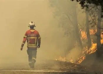 254 bomberos y 11 medios aéreos combaten fuego en la Serra da Estrela en Portugal