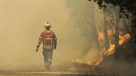 254 bomberos y 11 medios aéreos combaten fuego en la Serra da Estrela en Portugal
