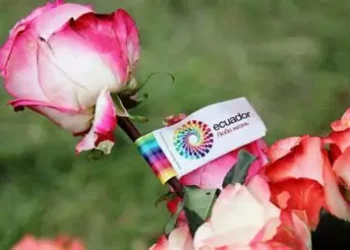 Ecuador envía un millón de rosas a China en solo tres días