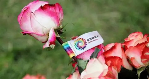 Ecuador envía un millón de rosas a China en solo tres días