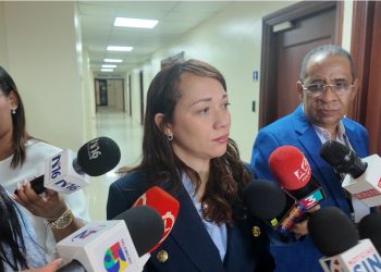 Participación Ciudadana pide frenar campañas a destiempo y aplicar sanciones