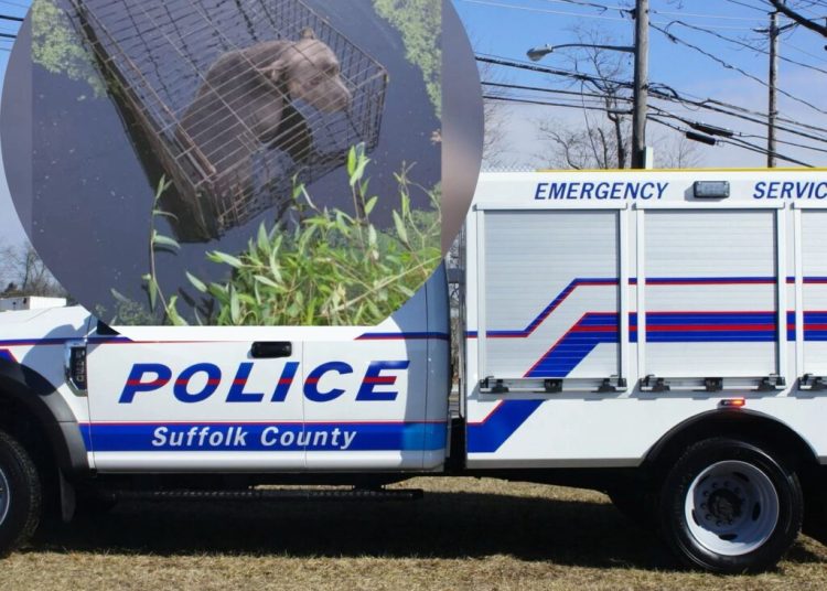 Ciudadanos de Virginia salvaron un pitbull dejado abandonado en una jaula dentro del agua