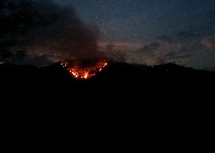 Fuego forestal en Jánico arrasa la sierra desde hace seis días
