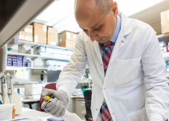 ¿Por qué la terapia CAR-T pierde eficacia? Envejecimiento celular como factor de recurrencia en pacientes con cáncer