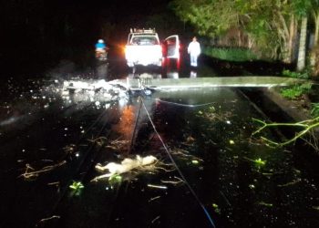 Fuertes vientos provocan averías en 11 circuitos de EDENORTE; 38 mil clientes afectados en el Cibao