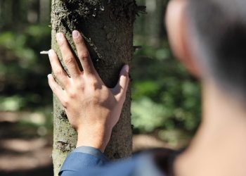 Tetra Pak impulsa el consumo responsable con envases FSC en la Semana de los Bosques