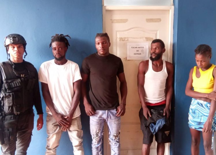 Envían a migración 4 haitianos sorprendidos robando cacao en finca de Zambrana