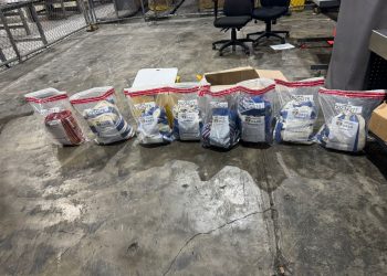 Autoridades frustran el envío a Europa de nueve hamacas impregnadas de cocaína