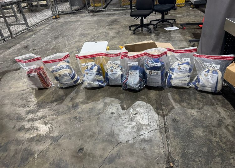 Autoridades frustran el envío a Europa de nueve hamacas impregnadas de cocaína