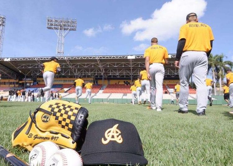 Las Águilas Cibaeñas dejan en libertad a 13 jugadores