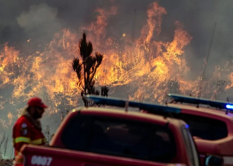 Dominado el 70 % del incendio en el sur de Portugal con nueve heridos leves