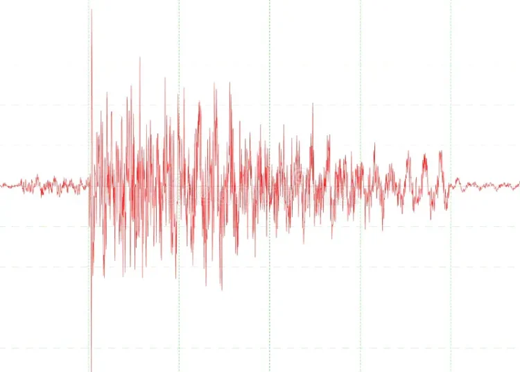 Terremoto en Turquía sin víctimas interrumpe brevemente los vuelos en Estambul