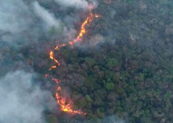 Incendio en frontera entre Paraguay y Bolivia arrasa con 16.000 hectáreas de vegetación