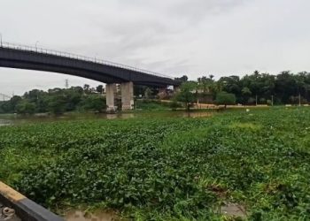 Crecida del río Ozama arrastra gran cantidad de lilas y desechos hasta el puente flotante